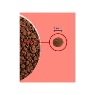 Kattenvoer Voor Binnenkatten Met Het Hoogste Eiwitgehalte 4.5kg by Acana – product photo 2 of 2