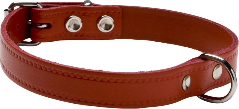 Halsband Leer Met Print - Hondenhalsband - 40x1.6 cm de Adori en Rouge – photo produit