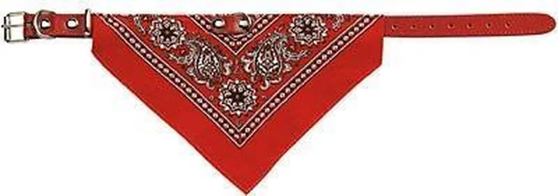 Halsband Met Zakdoek - Hondenhalsband - 55x2.2 cm by Adori in Red – product photo