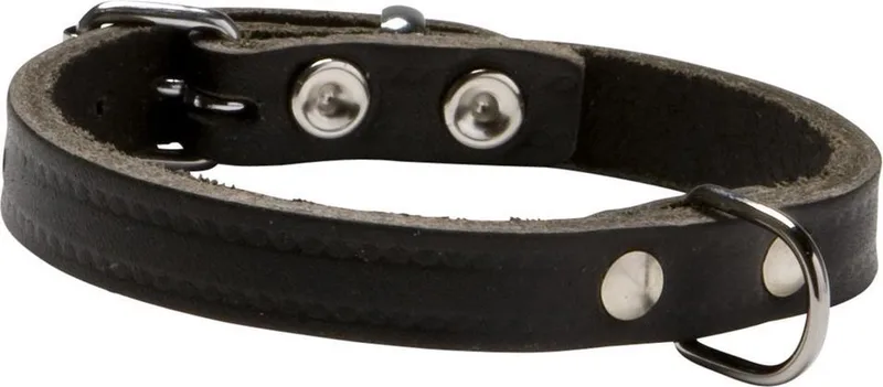 Halsband Soft Met Print Donkerbruin - Hondenhalsband - 50x2 cm by Adori in Brown – product photo