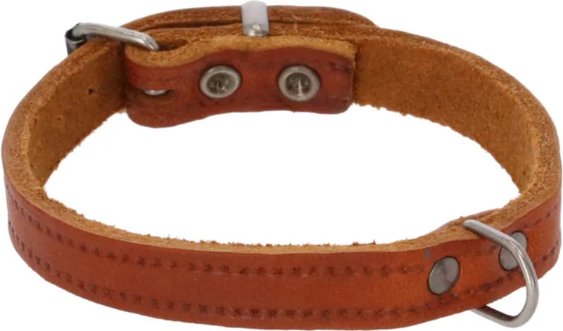 Halsband Vetleder Met Print - Hondenhalsband - 35x1.4 cm von Adori in Cognac – Produktfoto