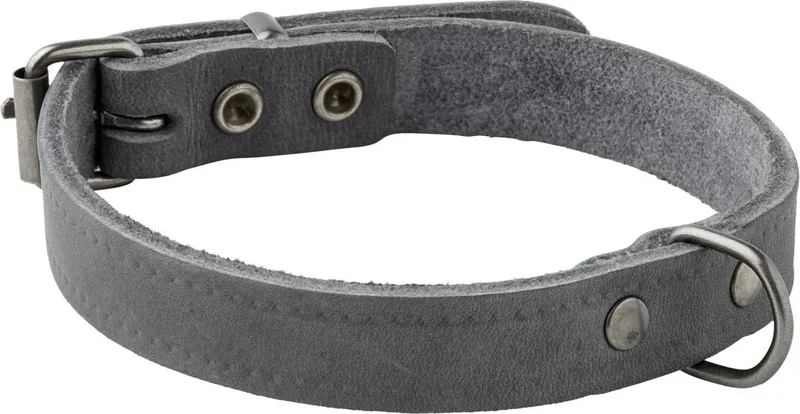 Halsband Vetleder Met Print - Hondenhalsband - 35x1.4 cm von Adori in Grau – Produktfoto