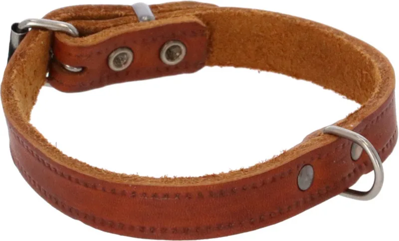 Halsband Vetleder Met Print - Hondenhalsband - 40x1.6 cm von Adori in Cognac – Produktfoto