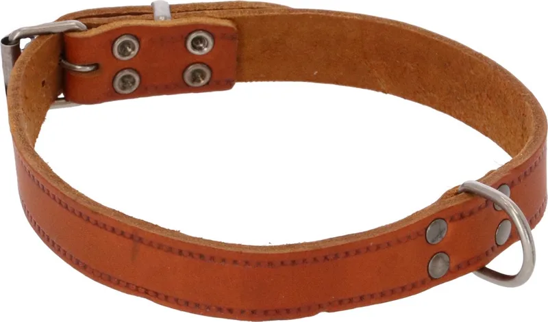 Halsband Vetleder Met Print - Hondenhalsband - 50x2.0 cm de Adori en Cognac – photo produit