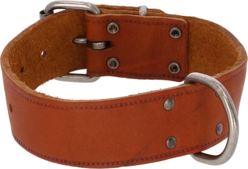 Halsband Vetleder Met Print - Hondenhalsband - 50x4 cm de Adori en Cognac – photo produit