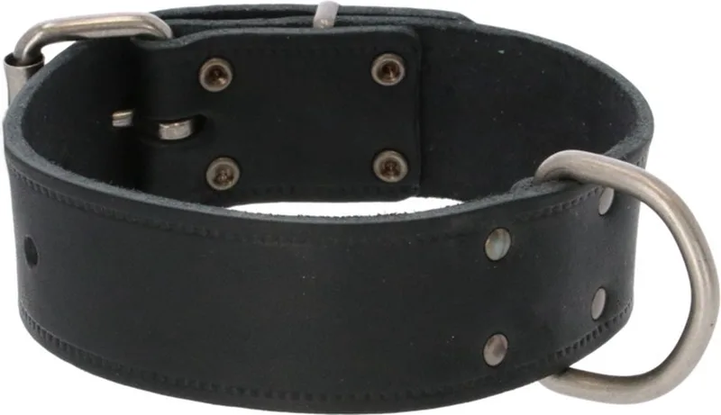 Halsband Vetleder Met Print - Hondenhalsband - 50x4 cm von Adori in Schwarz – Produktfoto