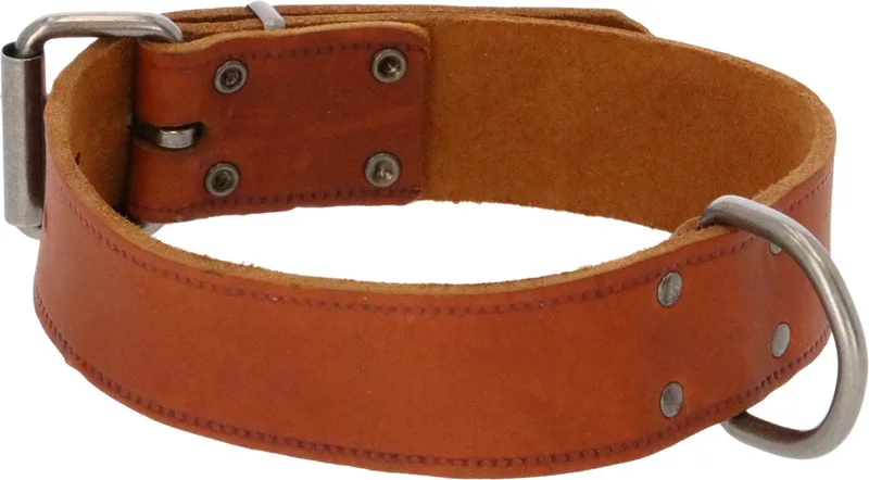 Halsband Vetleder Met Print - Hondenhalsband - 60x4 cm von Adori in Cognac – Produktfoto