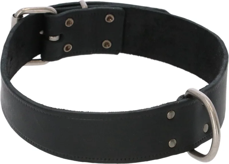 Halsband Vetleder Met Print - Hondenhalsband - 70x4.0 cm by Adori in Black – product photo