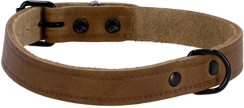 Halsband Vetleder Met Print Olijfgroen - Halsband - 55x2.5 cm fra Adori – produktbillede