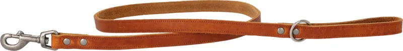 Looplijn Vetleder Met Print - Hondenriem - 130x1.8 cm M/L de Adori en Cognac – photo produit
