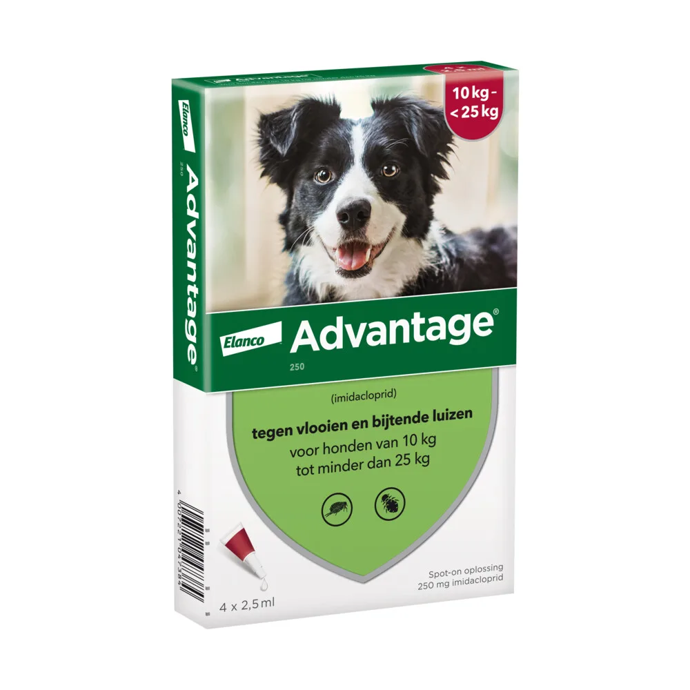 2x Advantage Anti Vlooiendruppels 250 Hond 10 - 25 kg 4 pipetten de Advantage – photo produit