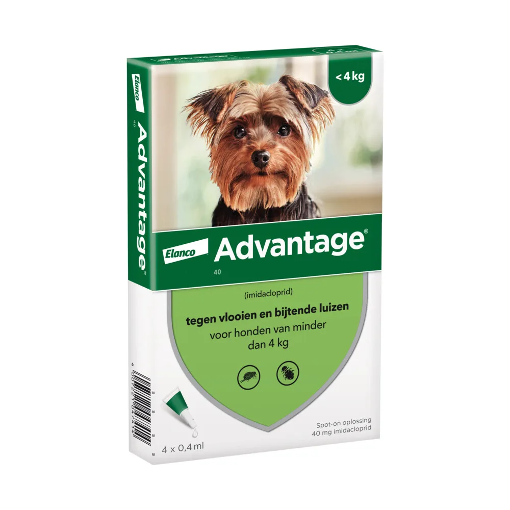 2x Advantage Anti Vlooiendruppels 40 Hond 1,5 - 4 kg 4 pipetten van Advantage – productfoto