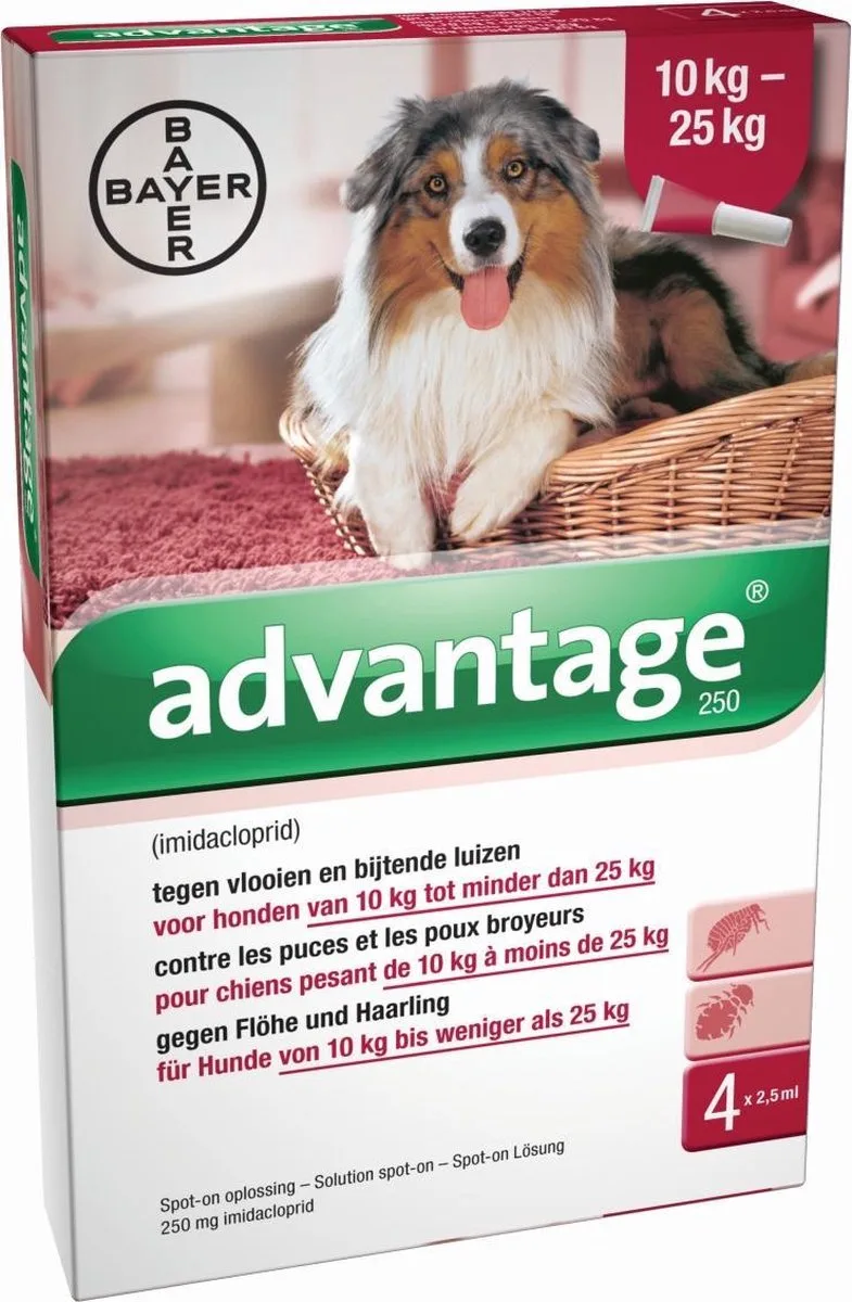 Advantage 250 Anti vlooienmiddel Hond - 4 pipetten by Advantage – product photo