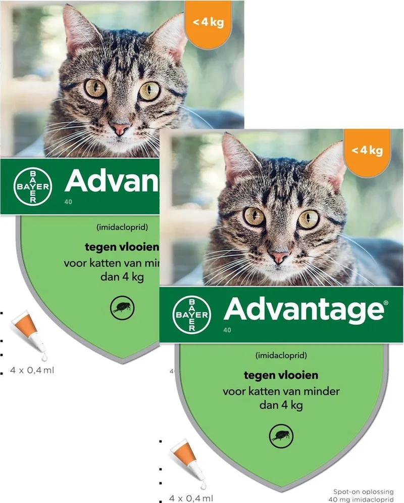 Advantage 40 Kat 4 pip - Anti vlooienmiddel - 2 x 0.4 ml - 0 - 4 Kg by Advantage – product photo