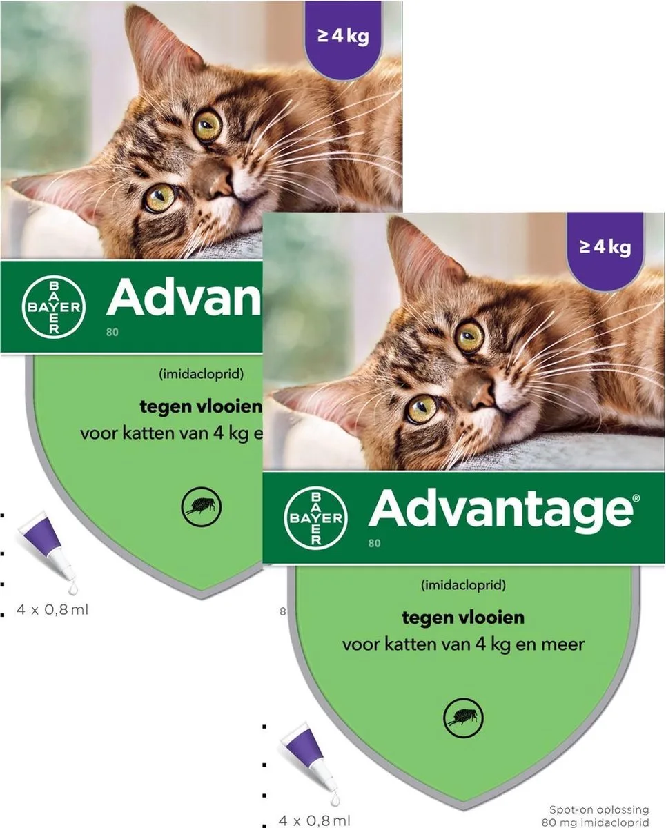 Advantage 80 Kat 4 pip - Anti vlooienmiddel - 2 x 0.8 ml - > 4 Kg van Advantage – productfoto