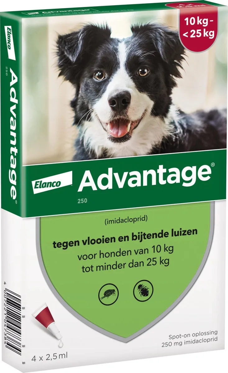 Bayer Advantage 250 Vlooiendruppels Hond 10-25 kg - 4 Pipetten by Advantage – product photo