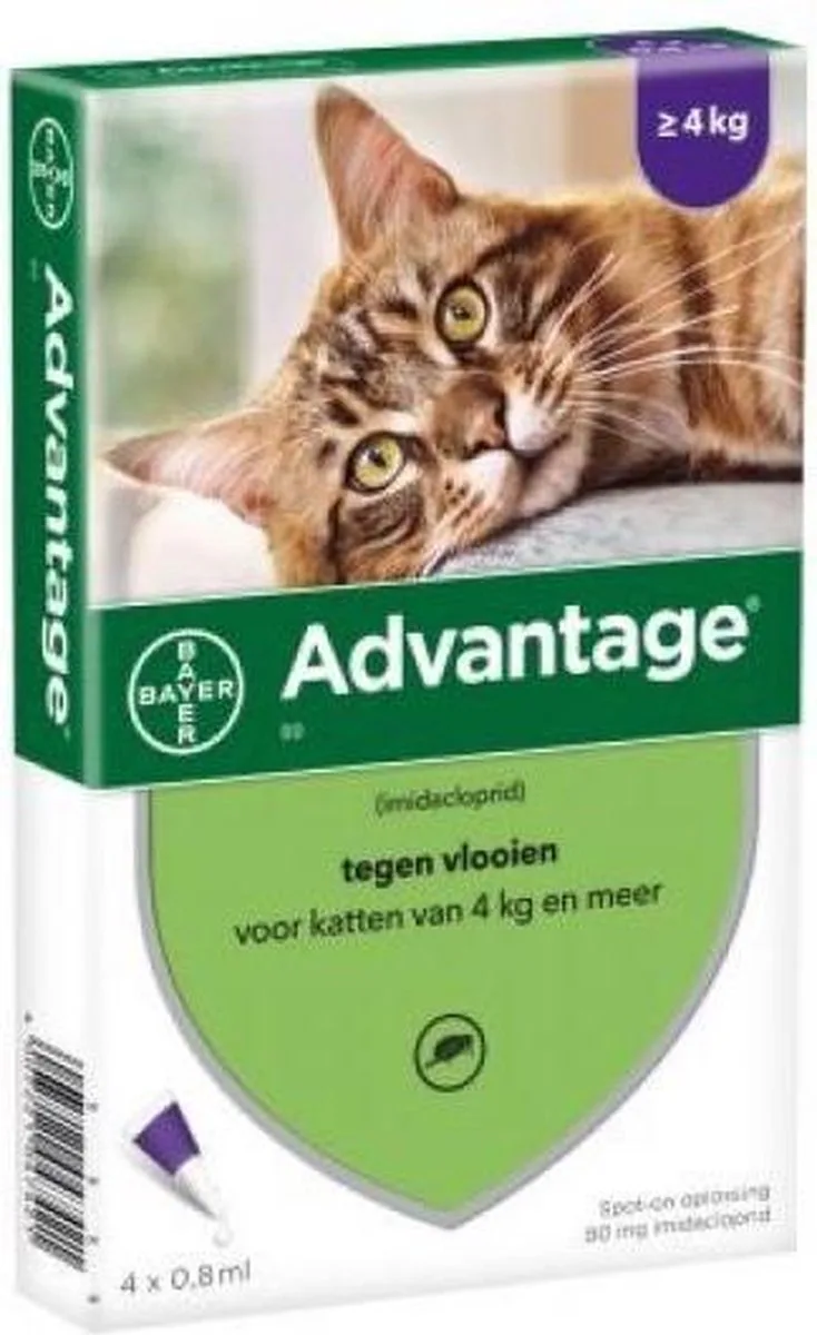 Bayer Advantage Kat 4 Pipetten by Advantage – product photo
