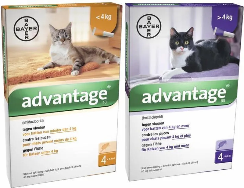 Bayer Advantage Kat 40 tot 4 kg - 4 Pipetten de Advantage – photo produit