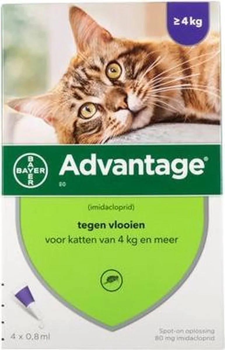 Kat 80 - 4 pipet by Advantage – product photo
