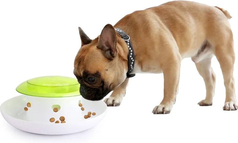 Interactives Push 4 meal Dispenser - Voerbak Hond - Voertoren - Intelligentie Speelgoed voor Honden - Interactieve Voerbak - Wit/Groen fra AFP i Grøn – produktbillede