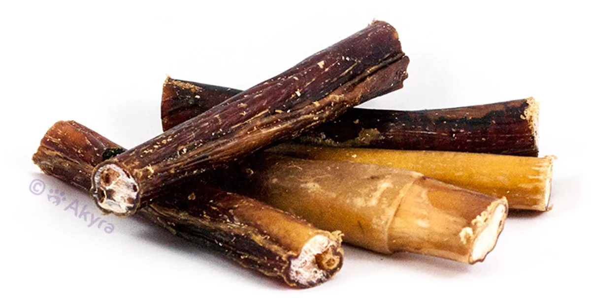 Bullepees 12 cm - 5 stuks - Natuurlijk gedroogde hondensnack - Runderstengel från Akyra – produktbild