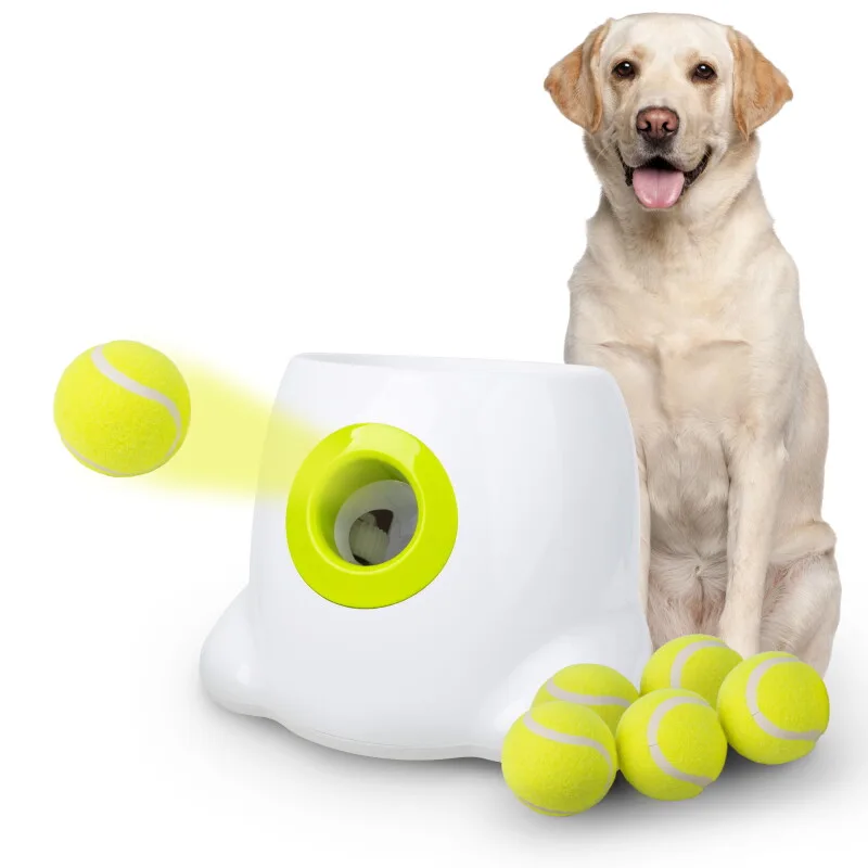 Automatischer Ballwerfer für mittelgroße und große Hunde von All For Paws in Regular – Produktfoto