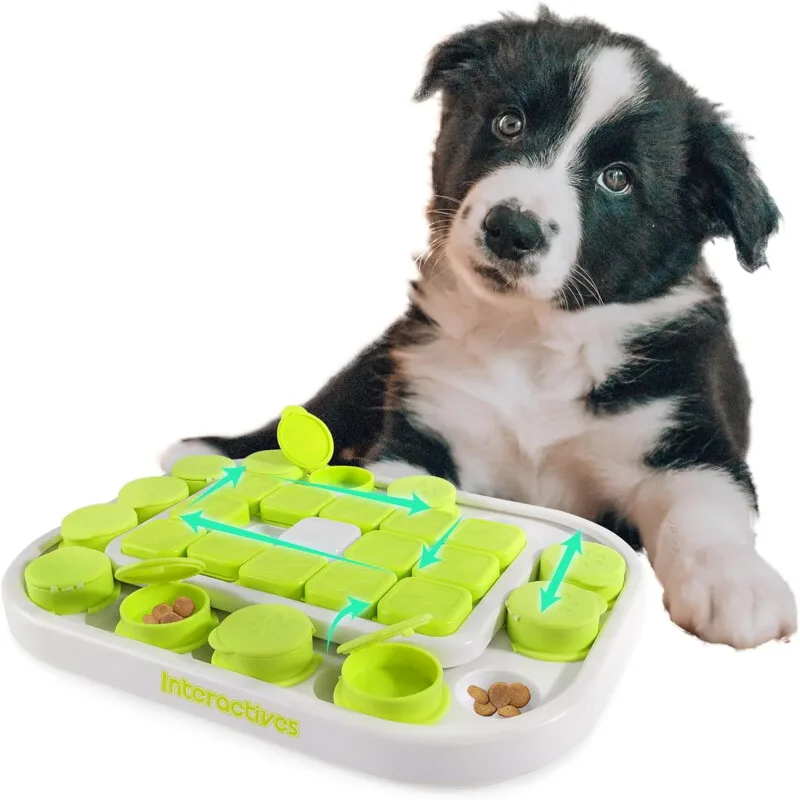 Intelligenzspielzeug - Sokudo Puzzle von All For Paws in Regular – Produktfoto