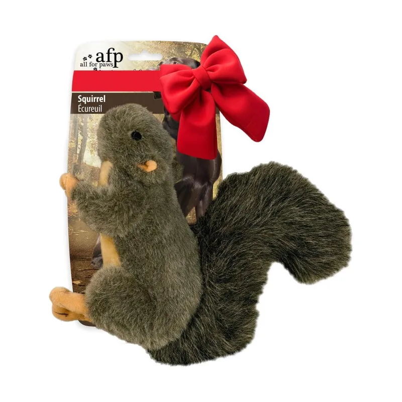 Quietschendes Hundespielzeug-Eichhörnchen by All For Paws in Regular – product photo