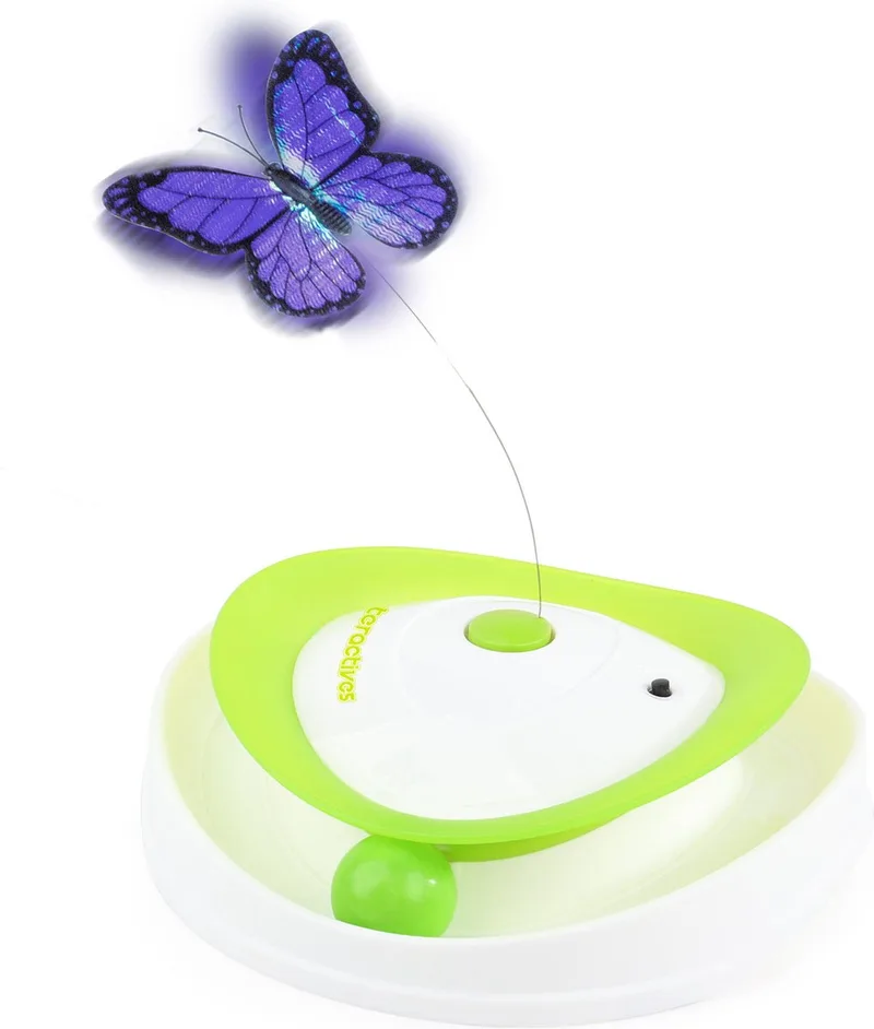 Roll Around Flutter Bug - Kattenspeelgoed von All For Paws in Grün – Produktfoto