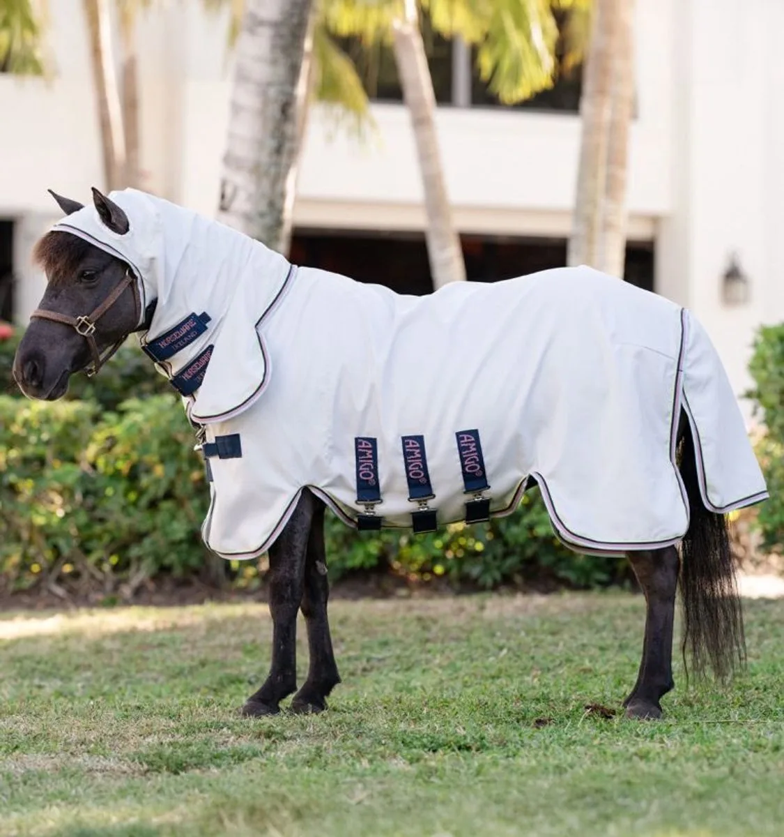 Petite Ripstop Hoody-Krijt-70-105 pony von Amigo – Produktfoto