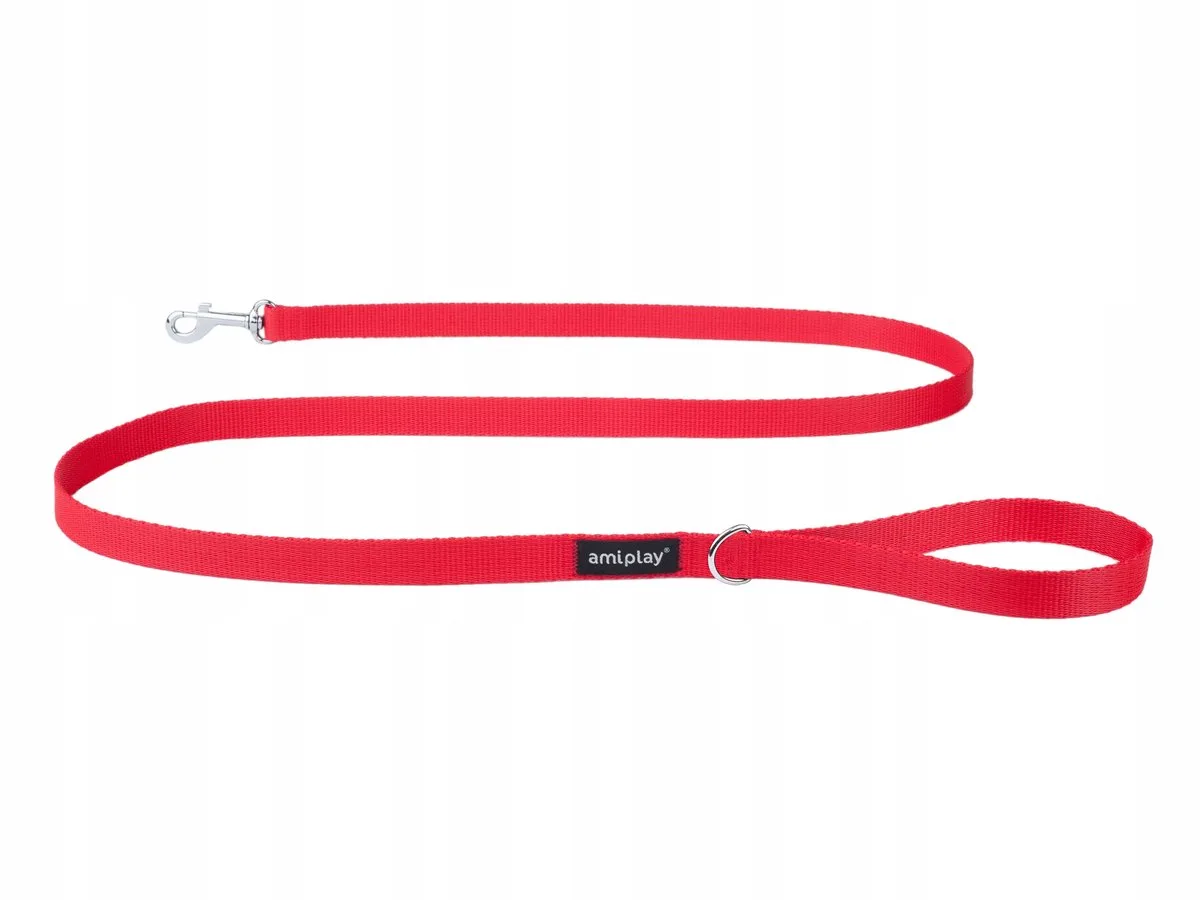 Basic Hondenlijn L Rood 150cm x 2cm - Duurzaam Nylon by Amiplay – product photo