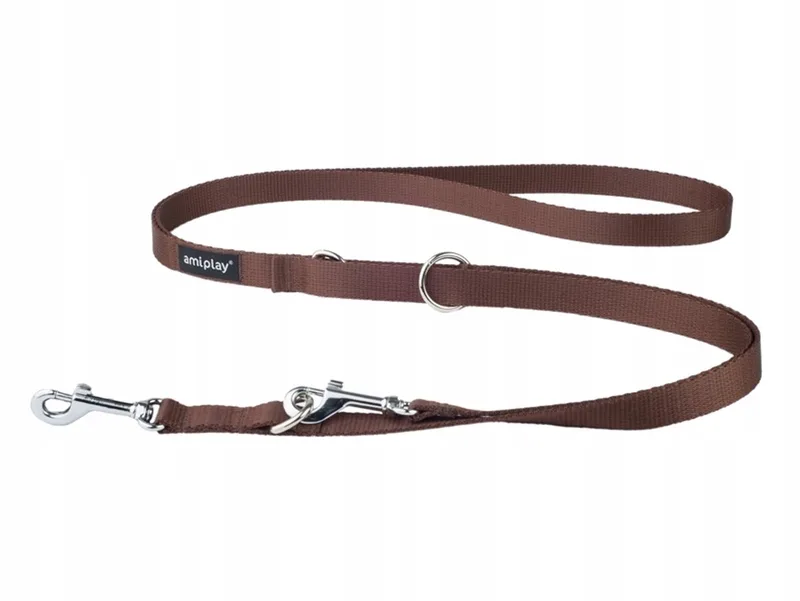 Basic Verstelbare Hondenriem 6-in-1 XL, 100-200 cm, Bruin von Amiplay – Produktfoto