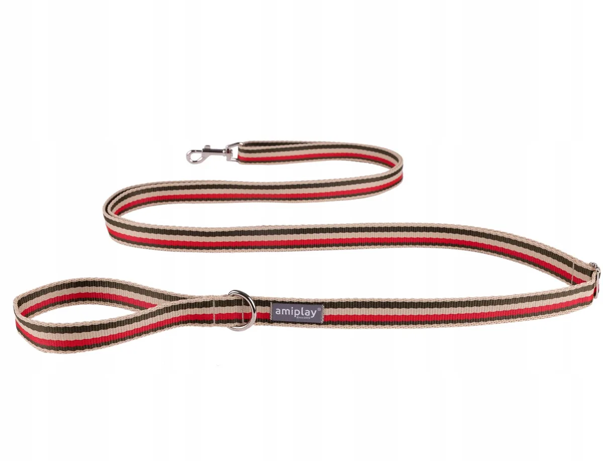 Easy Fix Hondenlijn L, Verstelbaar, 160-300cm, Polypropyleen by Amiplay – product photo