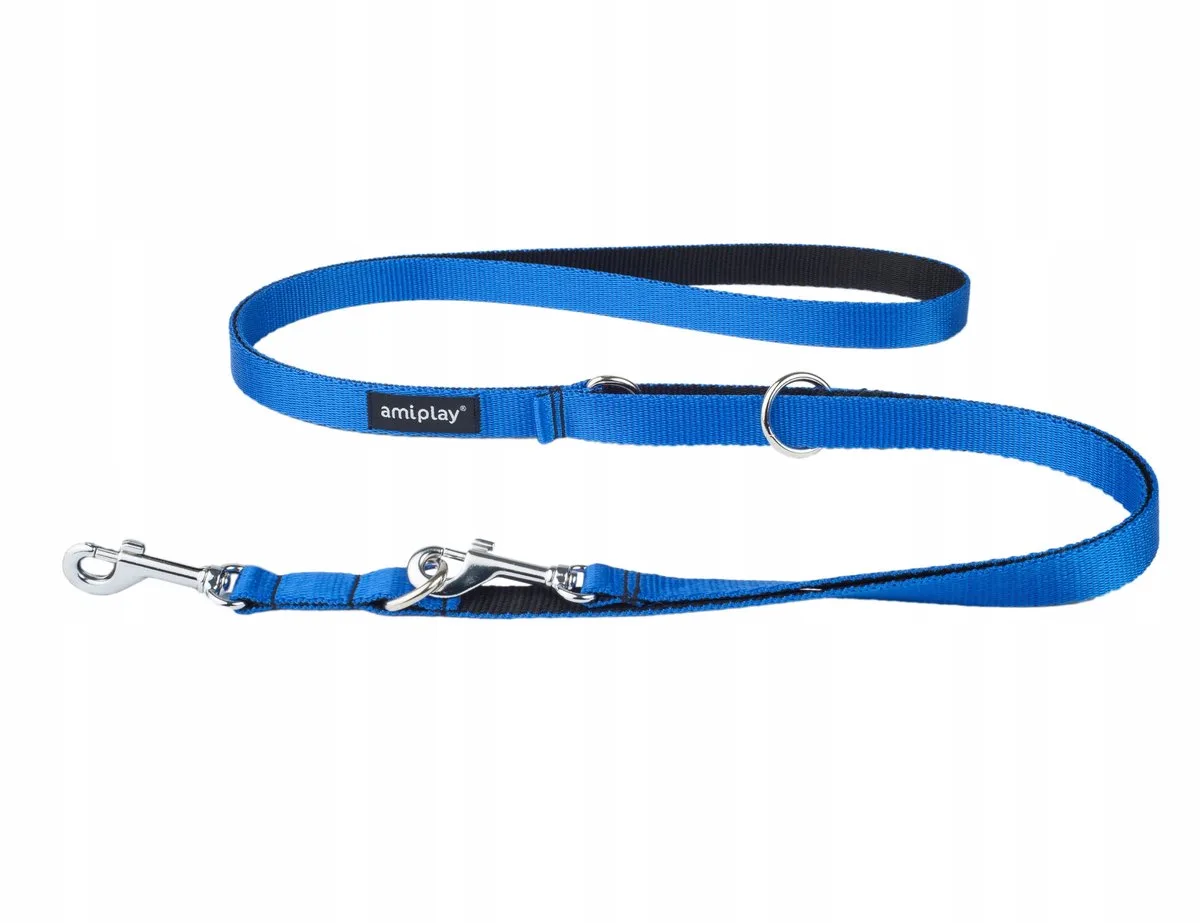 Twist Verstelbare Hondenlijn 6-in-1 Blauw L de Amiplay – photo produit