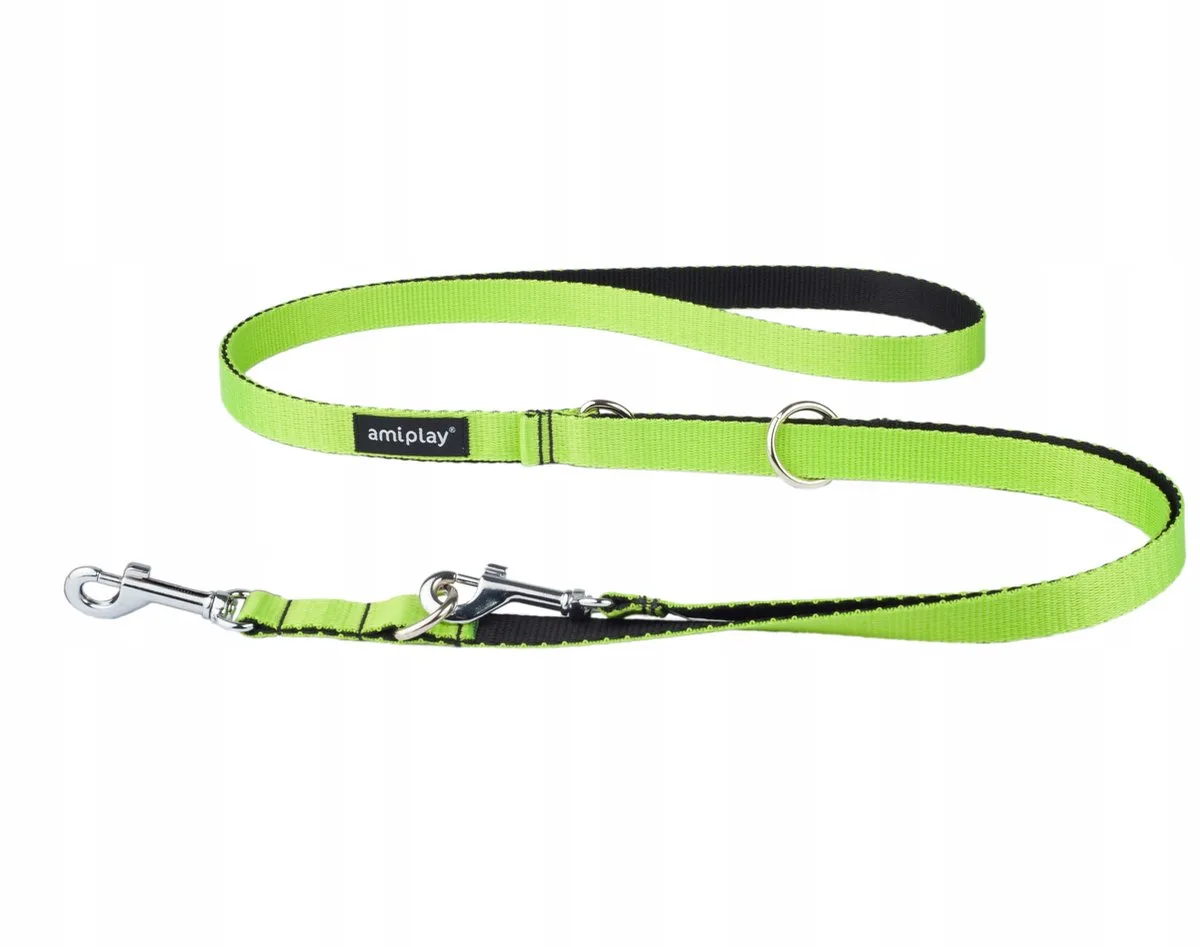 Twist Verstelbare Hondenlijn 6-in-1 Groen M (100-200cm) von Amiplay – Produktfoto