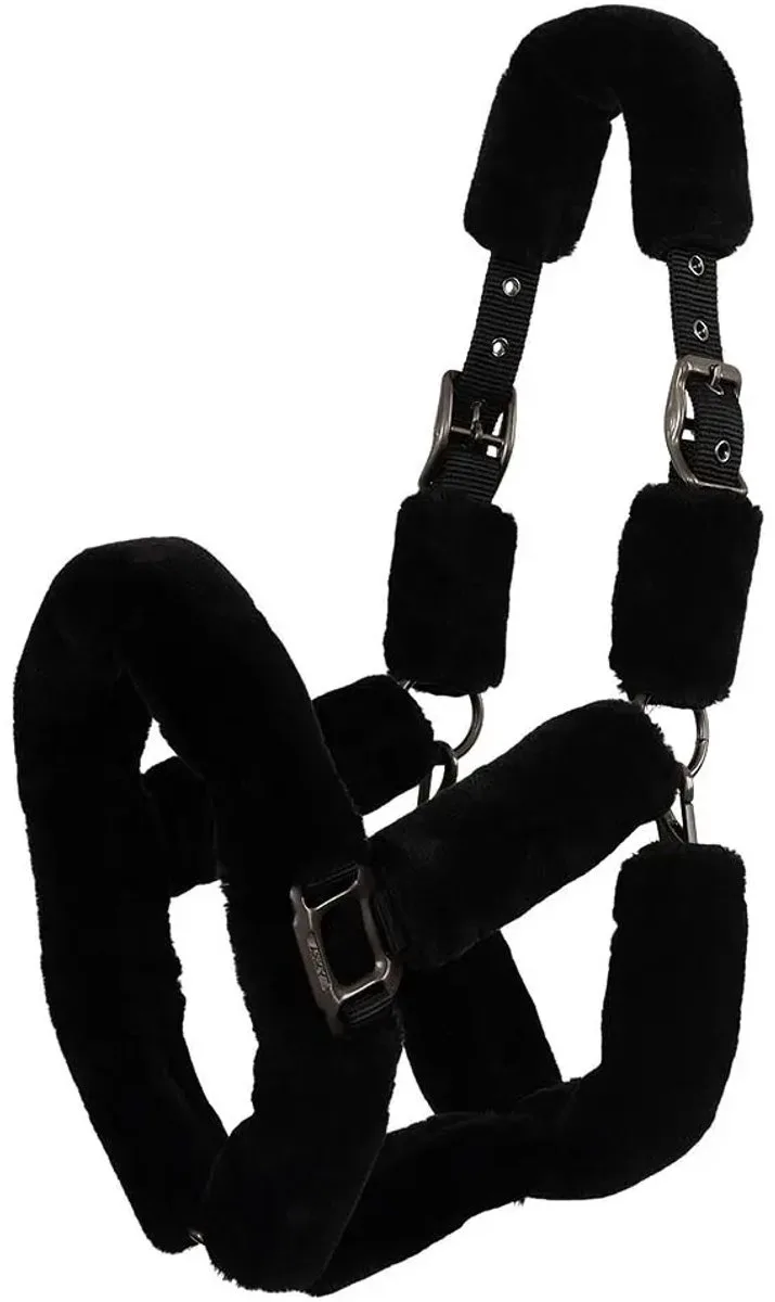 Bont halster voor paard ANKY Fluffy de Anky en Noir – photo produit