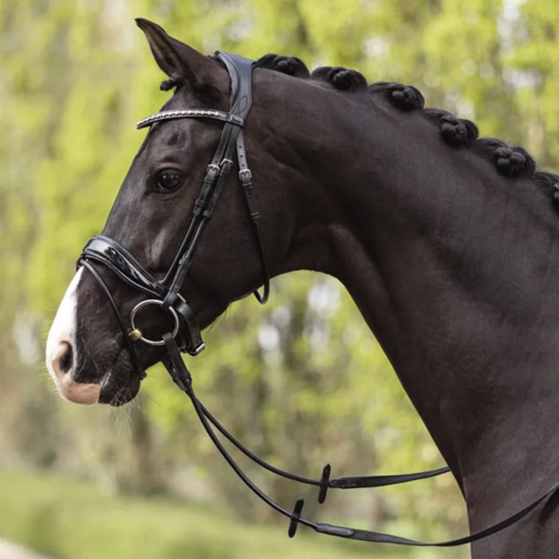 Hoofdstel Anky Anatomical Shaped Noseband | Maat: Middel de Anky en Zwart-zwart – photo produit