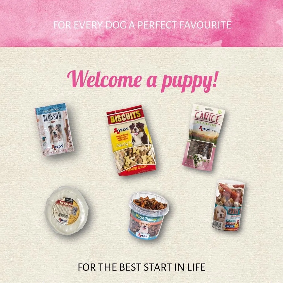 Puppy Variatie Box fra Antos – produktbillede