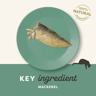 Makreelrug Kattenvoer 30 G by Applaws – product photo 2 of 2