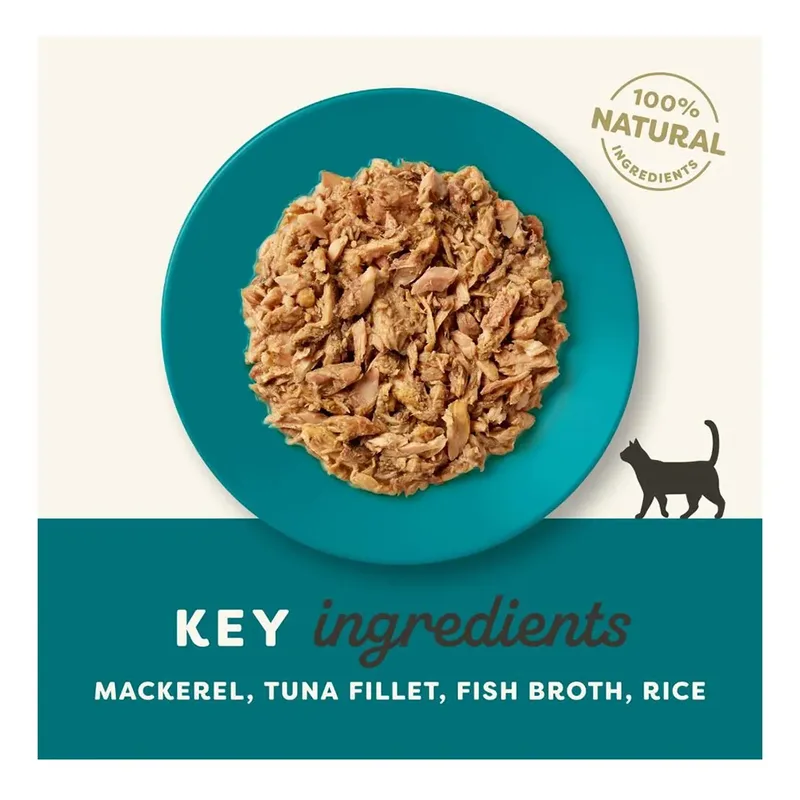 Ocean Fish Natvoer Voor Katten 156 G by Applaws – product photo 2 of 2