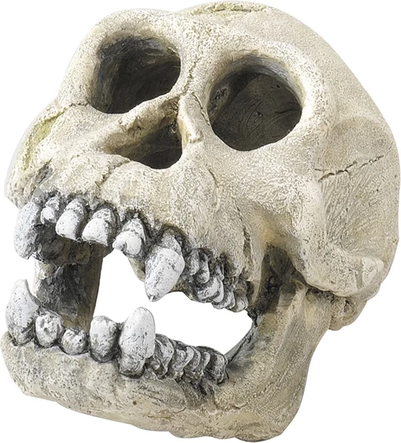 Aquarium Decoratie - Chimpanzee 16cm - 1st de Aqua Della en <> – photo produit