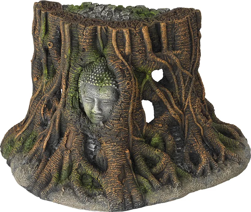 Aquarium Della Buddha Tree Thailand von Aqua Della in <> – Produktfoto