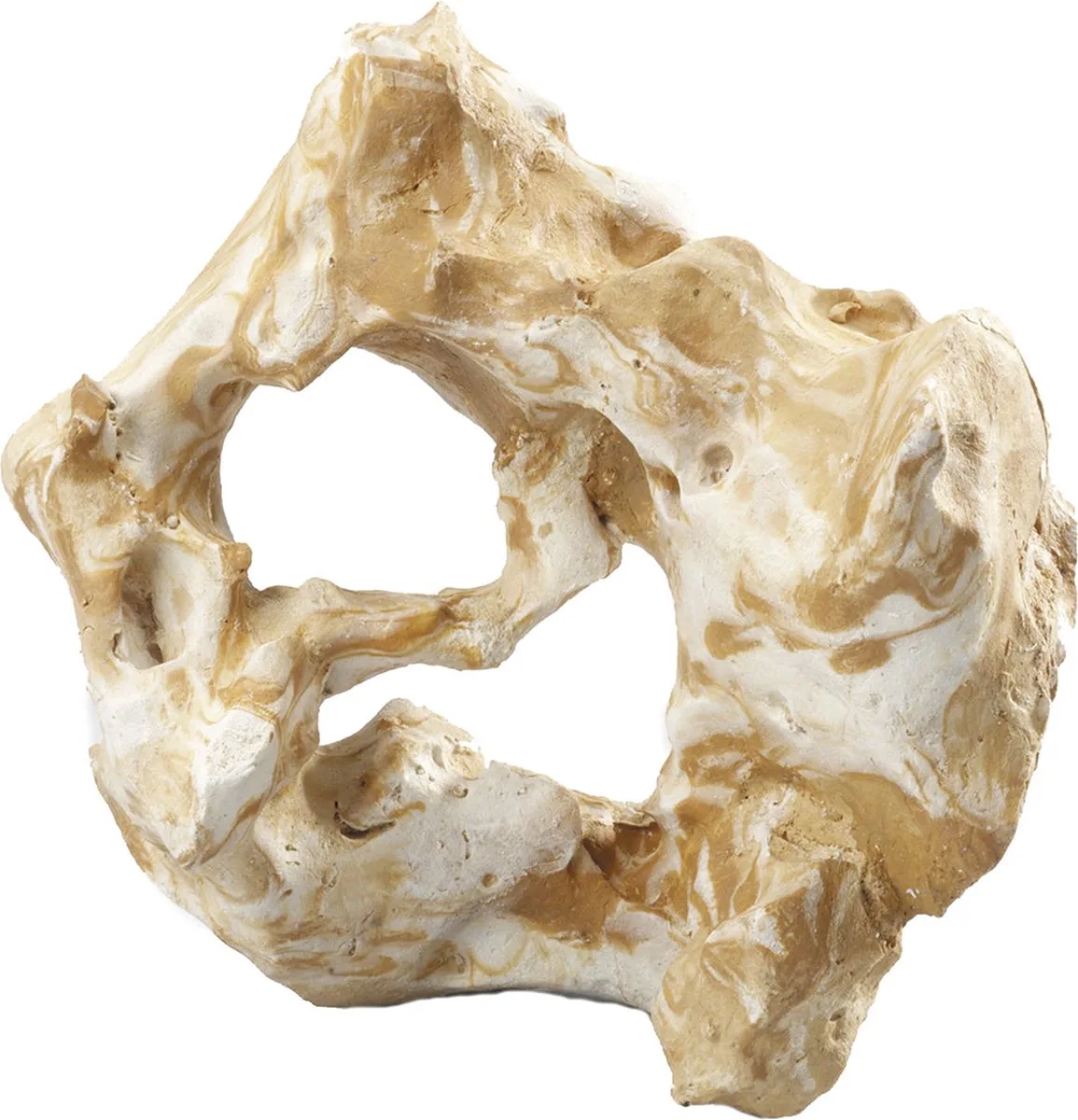 Aquariumdecoratie - Vissen - Combo Fellas L - 28,5x20,5x27,5cm - 1st by Aqua Della in <> – product photo