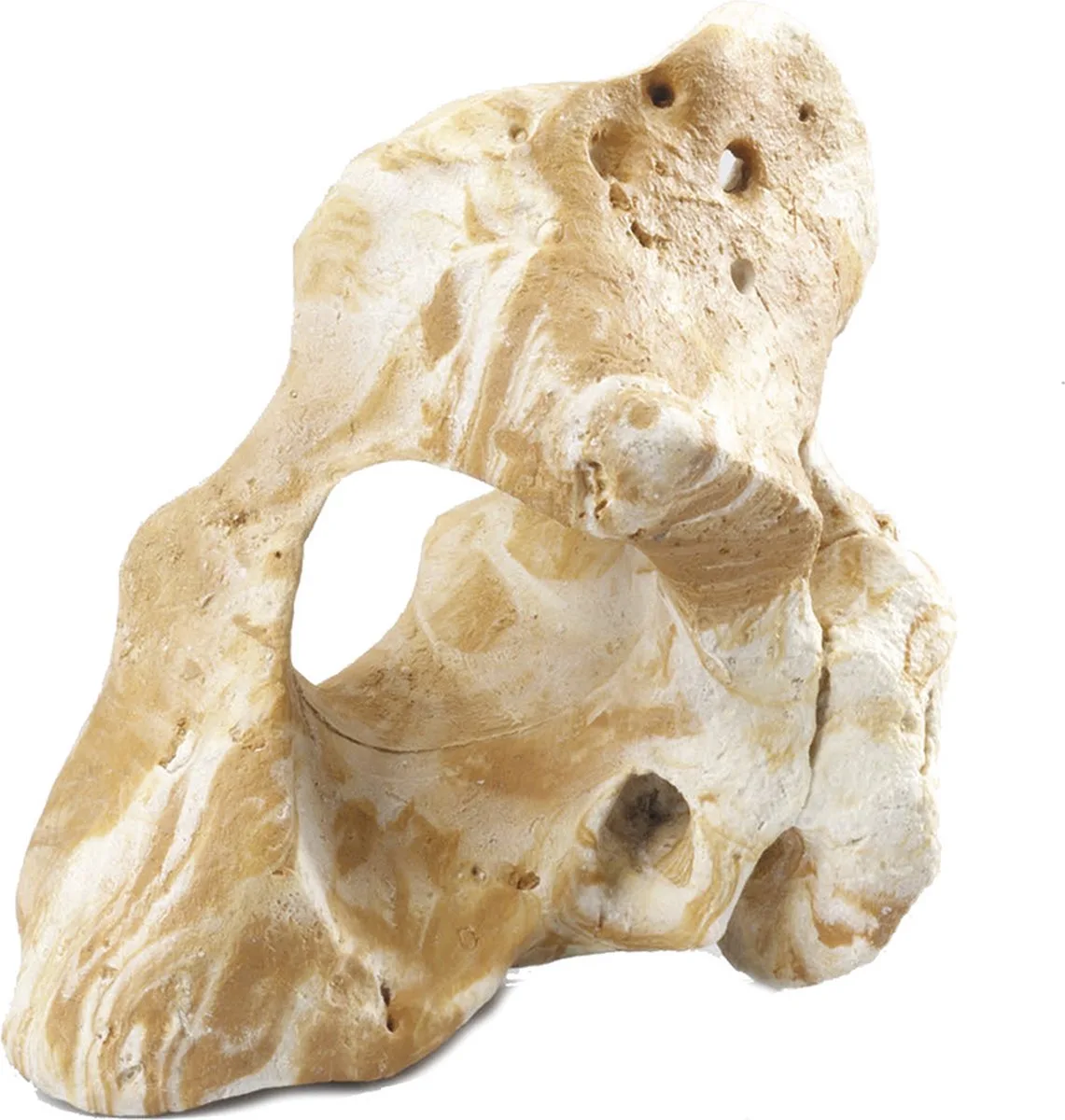 Aquariumdecoratie - Vissen - Combo Fellas M - 20x11x19,5cm - 1st van Aqua Della in <> – productfoto