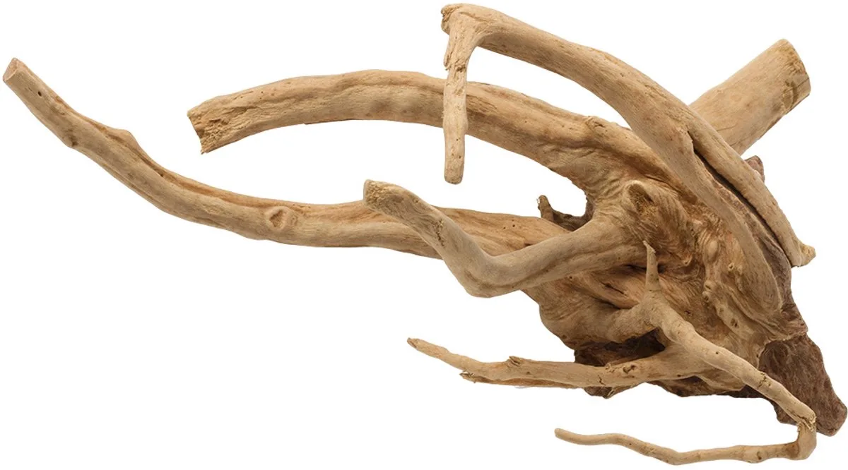 Aquariumdecoratie - Vissen - Driftwood Gepolijst L - 45-58cm - 1st från Aqua Della i Brun – produktbild