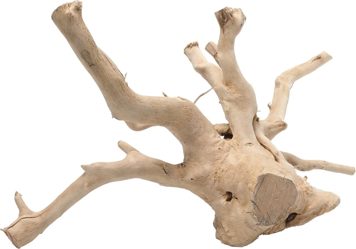 Aquariumdecoratie - Vissen - Driftwood Gepolijst M - 30-43cm - 1st van Aqua Della in Bruin – productfoto