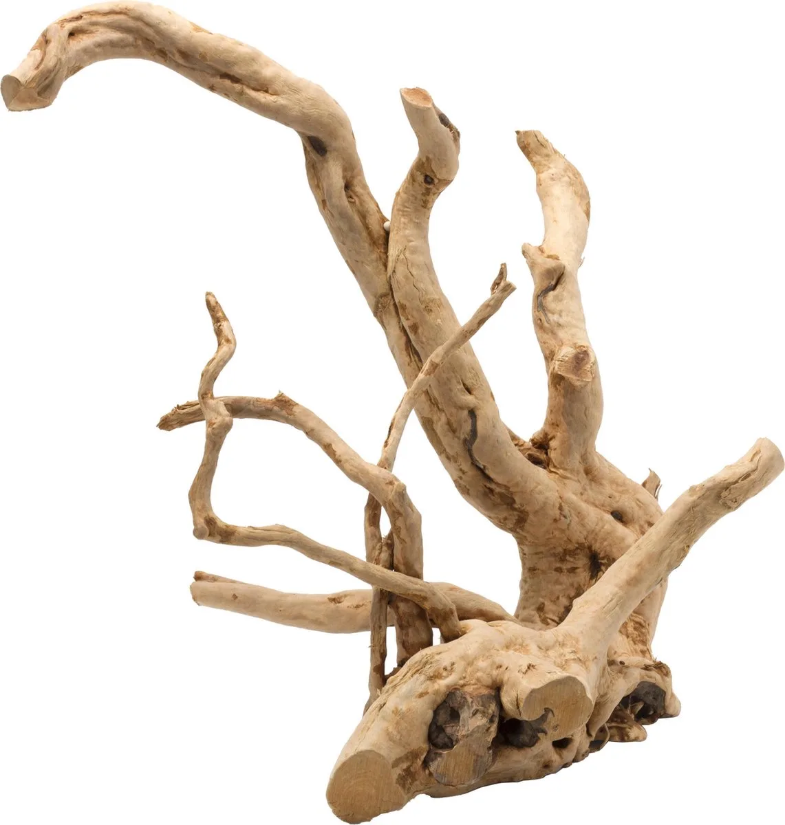 Aquariumdecoratie - Vissen - Driftwood Gepolijst S - 15-28cm - 1st van Aqua Della in Bruin – productfoto