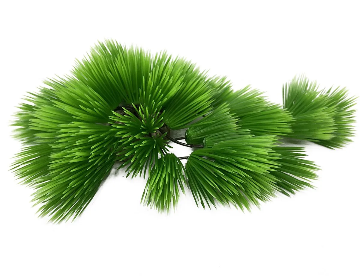 Aquariumplanten (voeding) - Vissen - Eleocharis 22cm - 1st von Aqua Della in Grün – Produktfoto