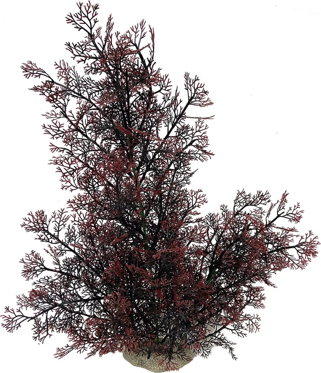 Aquariumplanten (voeding) - Vissen - Phoenix Xl - 56cm - 1st von Aqua Della in Rot – Produktfoto
