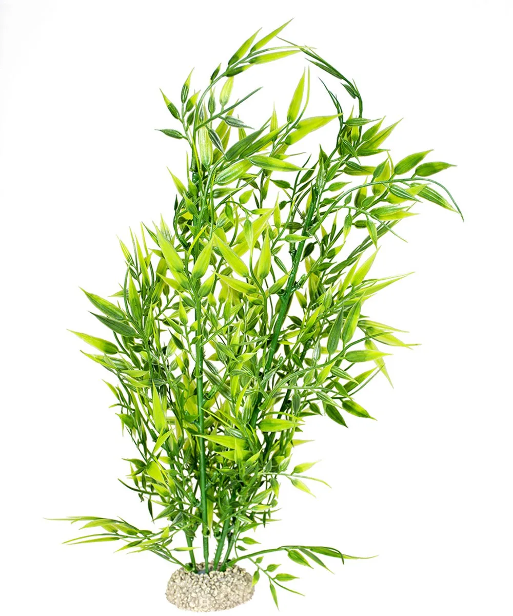 Aquariumplanten (voeding) - Vissen - Plant Bamboo Xl - Height 37cm - 1st von Aqua Della in Grün – Produktfoto